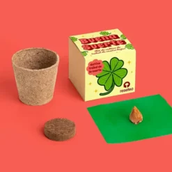 Buena suerte. Kit de cultivo de trébol de cuatro hojas