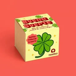 Buena suerte. Kit de cultivo de trébol de cuatro hojas