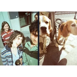 Cámara analógica de medio formato Half-Frame Classicolor