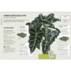 Cómo no matar tus plantas, nueva edición