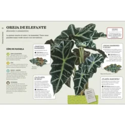 Cómo no matar tus plantas, nueva edición