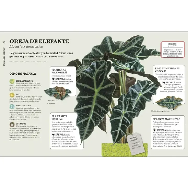 Cómo no matar tus plantas, nueva edición
