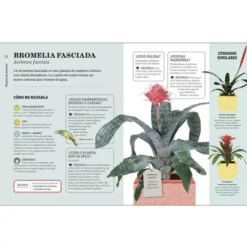 Cómo no matar tus plantas, nueva edición