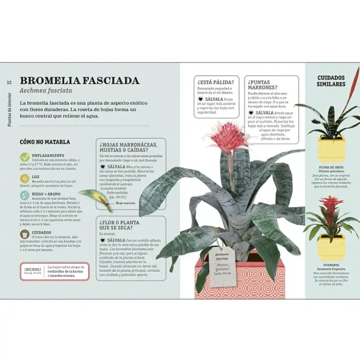 Cómo no matar tus plantas, nueva edición