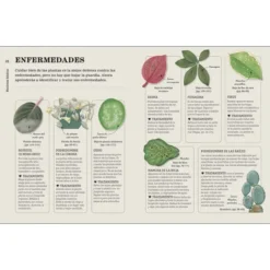 Cómo no matar tus plantas, nueva edición