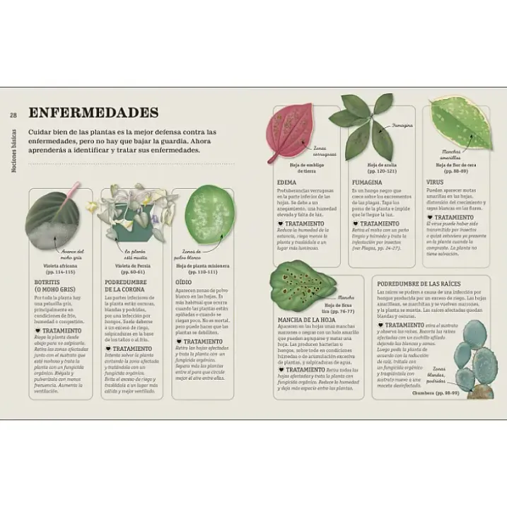 Cómo no matar tus plantas, nueva edición