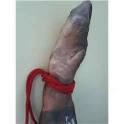Cojín con forma de jamón ibérico de bellota