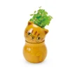 Corocoro mini maceta con autorriego en forma de gatito