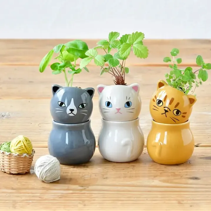 Corocoro mini maceta con autorriego en forma de gatito