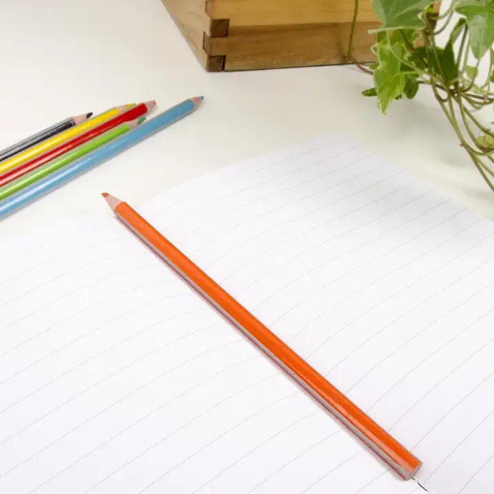 Cuaderno con mensaje Los unicornios no existen