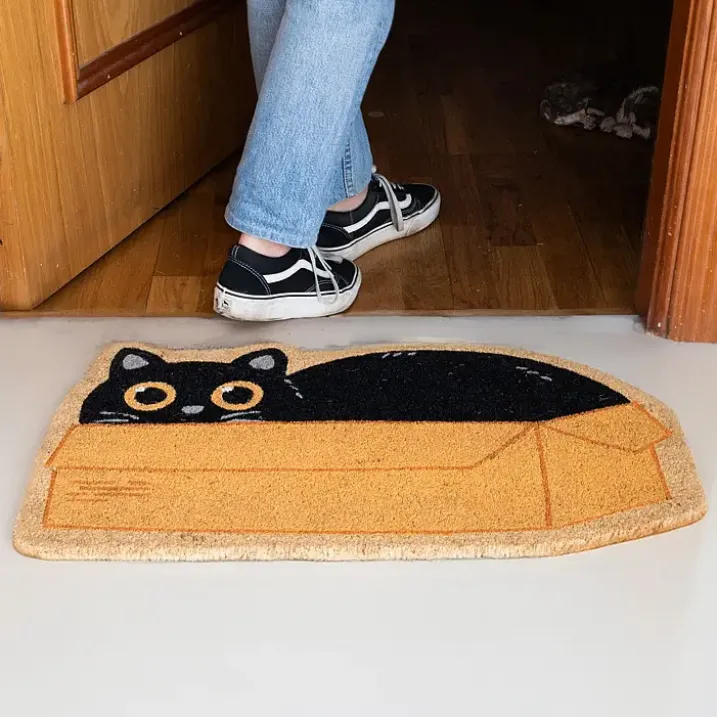 Felpudo en forma de gato dentro de una caja