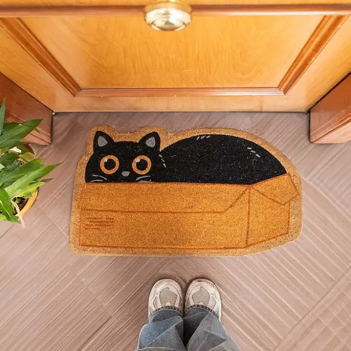Felpudo en forma de gato dentro de una caja