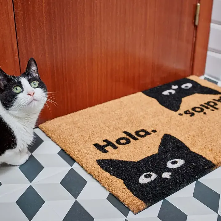 Felpudo gato Hola y Adiós