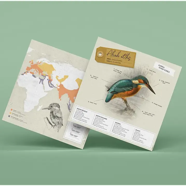 Figuras de papel 3D de pájaros de Plego