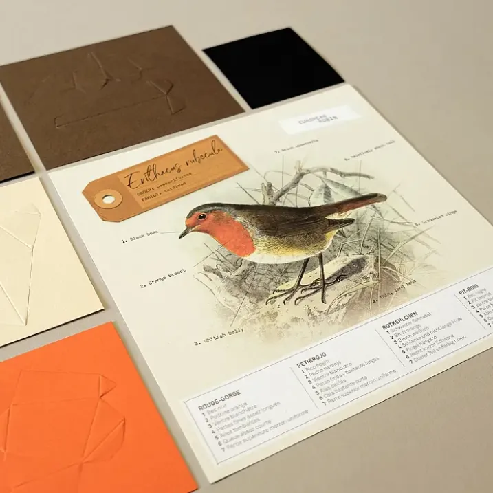 Figuras de papel 3D de pájaros de Plego