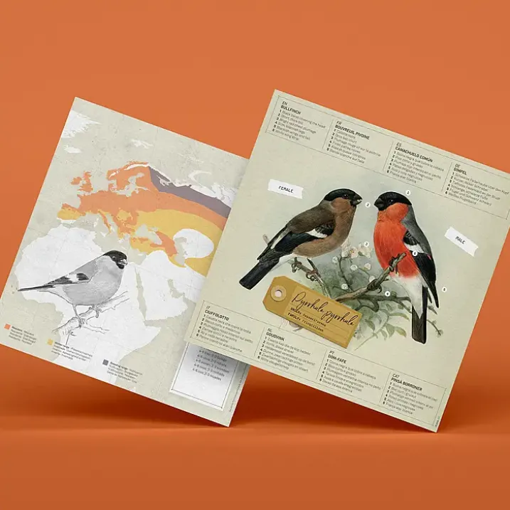 Figuras de papel 3D de pájaros de Plego
