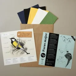 Figuras de papel 3D de pájaros de Plego