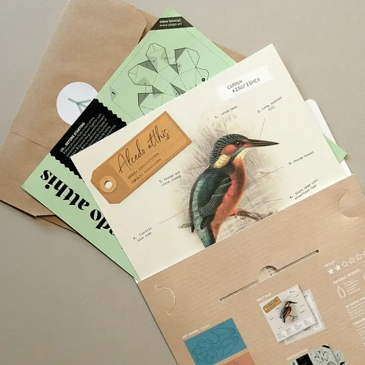 Figuras de papel 3D de pájaros de Plego