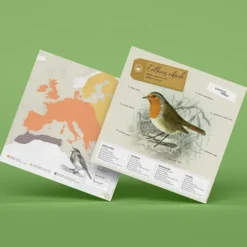 Figuras de papel 3D de pájaros de Plego