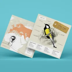 Figuras de papel 3D de pájaros de Plego