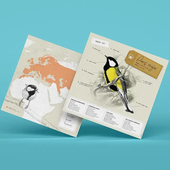 Figuras de papel 3D de pájaros de Plego