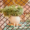 Happy Pot, maceta colgante con columpio