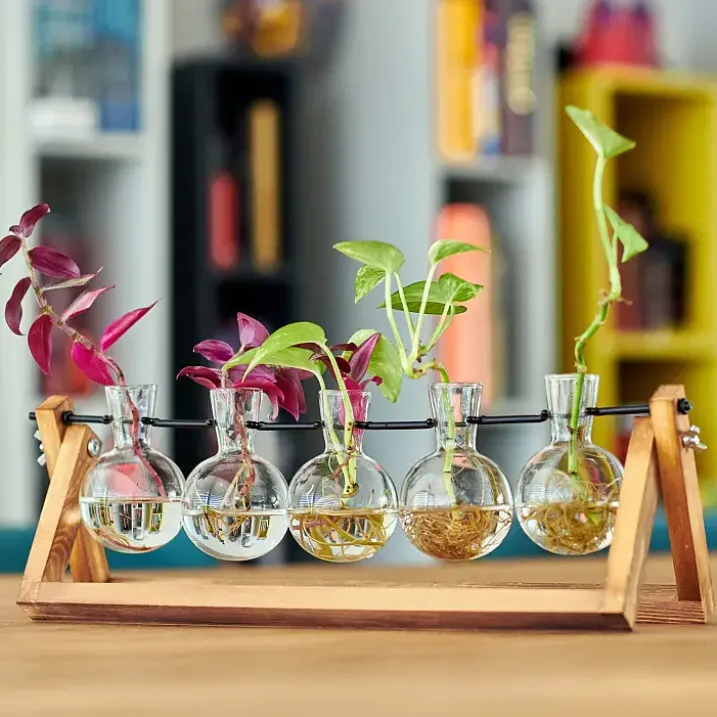 Hydra: estación de propagación para 5 plantas