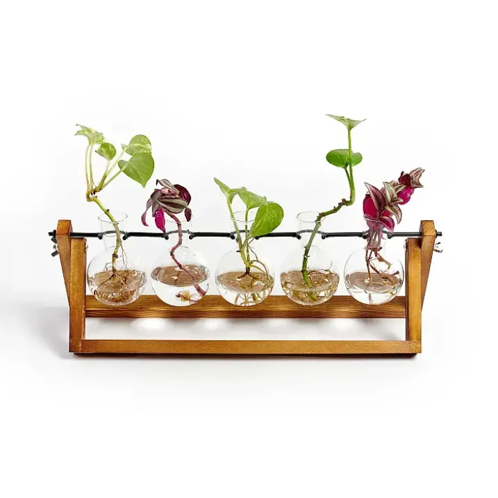 Hydra: estación de propagación para 5 plantas