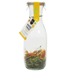 Jarra para preparar agua infusionada