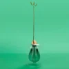 Jarrón para cultivar aguacate