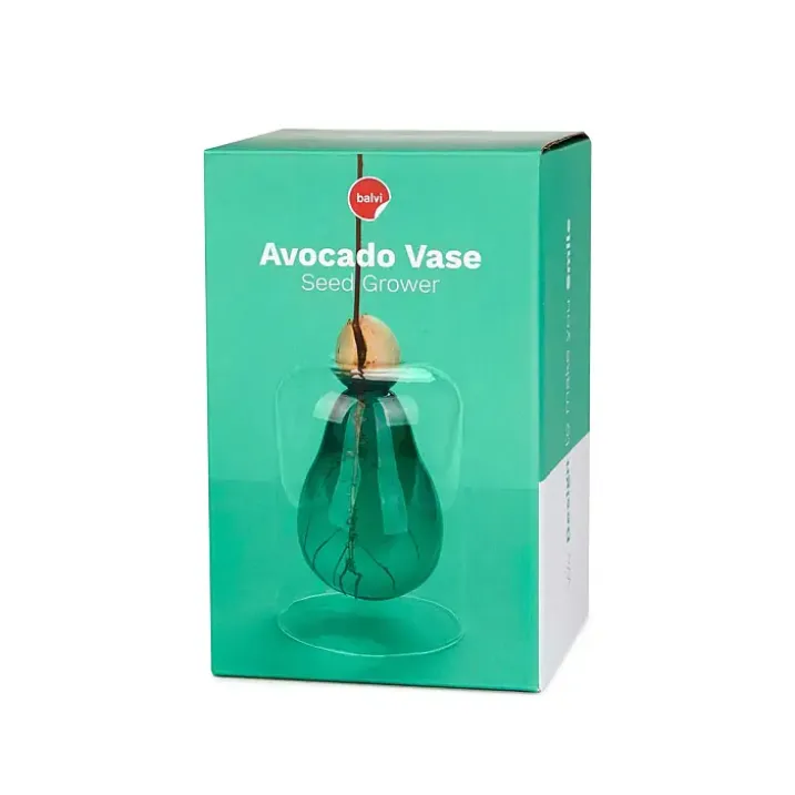 Jarrón para cultivar aguacate