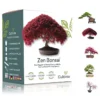 Kit completo para cultivar bonsáis