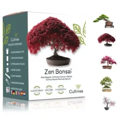 Kit completo para cultivar bonsáis