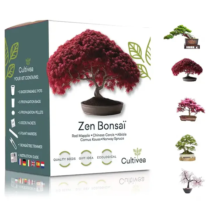 Kit completo para cultivar bonsáis