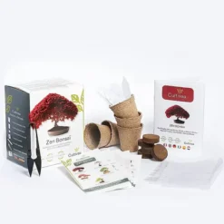 Kit completo para cultivar bonsáis