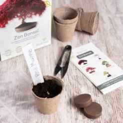 Kit completo para cultivar bonsáis