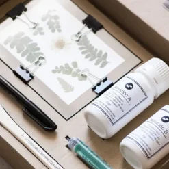 Kit de Cianotipia
