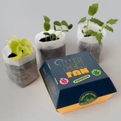 Kit de cultivo Burger fan: tomate, pepinillo, lechuga