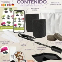 Kit de cultivo de bonsái para principiantes