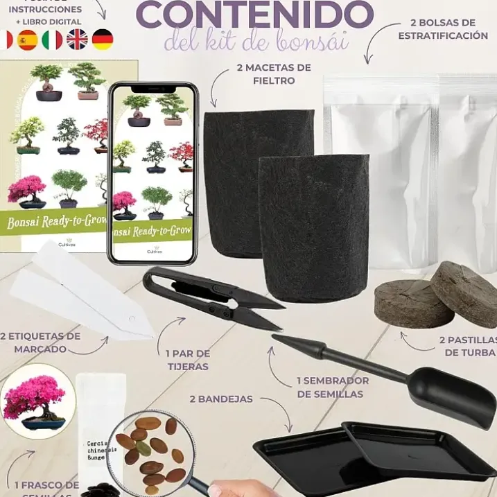 Kit de cultivo de bonsái para principiantes