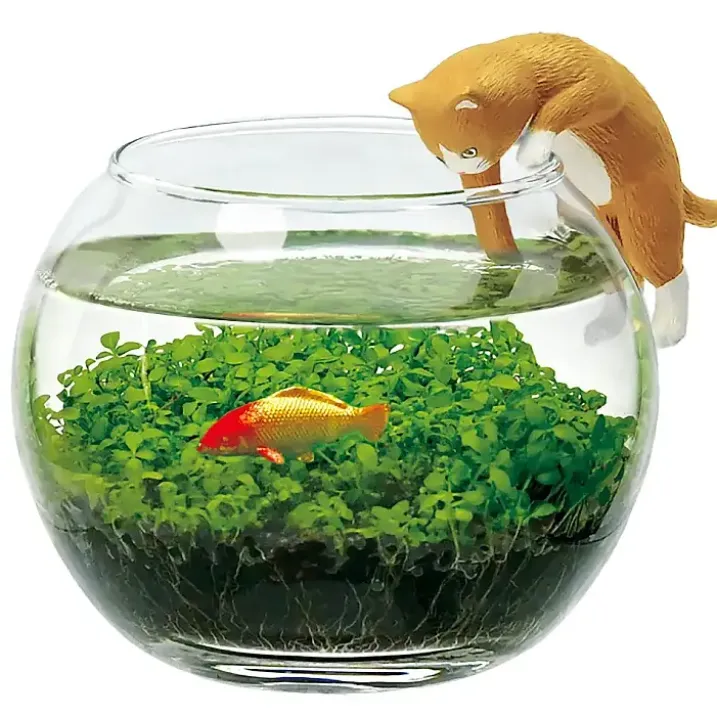 Kit de cultivo de plantas acuáticas con gatito