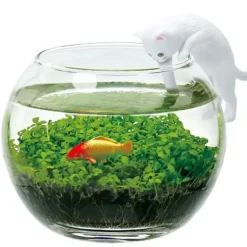 Kit de cultivo de plantas acuáticas con gatito