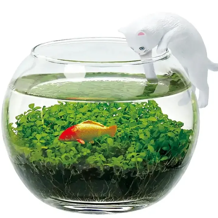 Kit de cultivo de plantas acuáticas con gatito