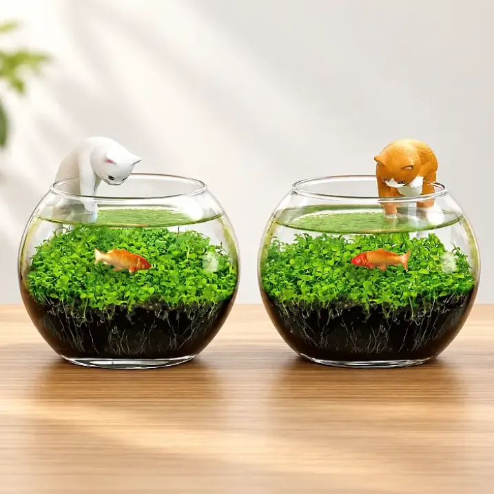 Kit de cultivo de plantas acuáticas con gatito