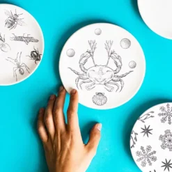 Kit DIY Transferencia y collage