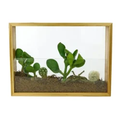 Kit para crear un mini jardín en un marco de madera