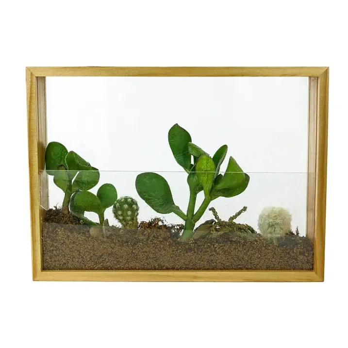 Kit para crear un mini jardín en un marco de madera