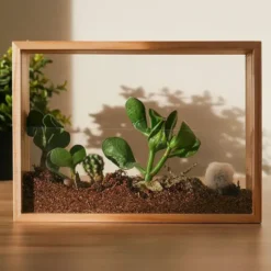 Kit para crear un mini jardín en un marco de madera