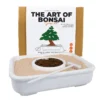 Kit para cultivar un Bonsái