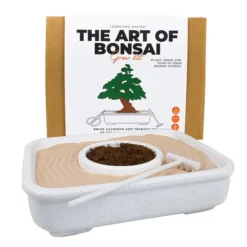 Kit para cultivar un Bonsái
